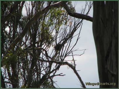 Vicky sees us while we're still by the road Vicky sees us while we're still by the road