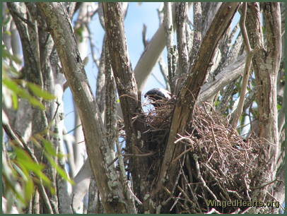 She gives me a quick Hello She gives me a quick Hello