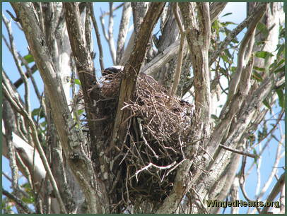 And she checks the eggs And she checks the eggs