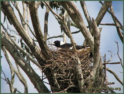 Check all around Check all around