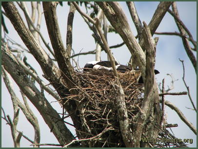 Check the eggs again Check the eggs again