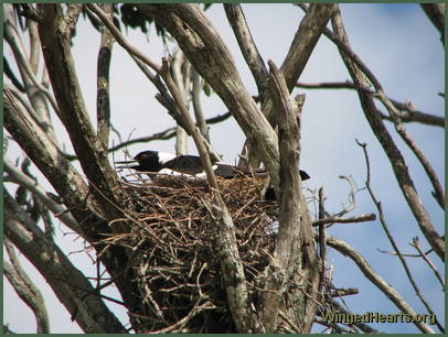 She sings a few bars She sings a few bars