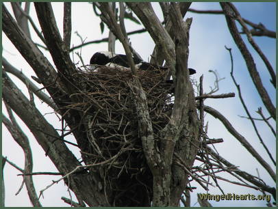 And checks again And checks again