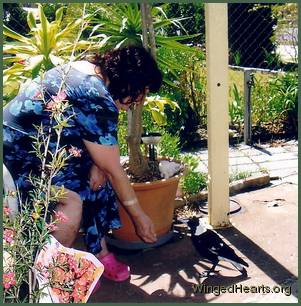 Muriel and Micky-magpie